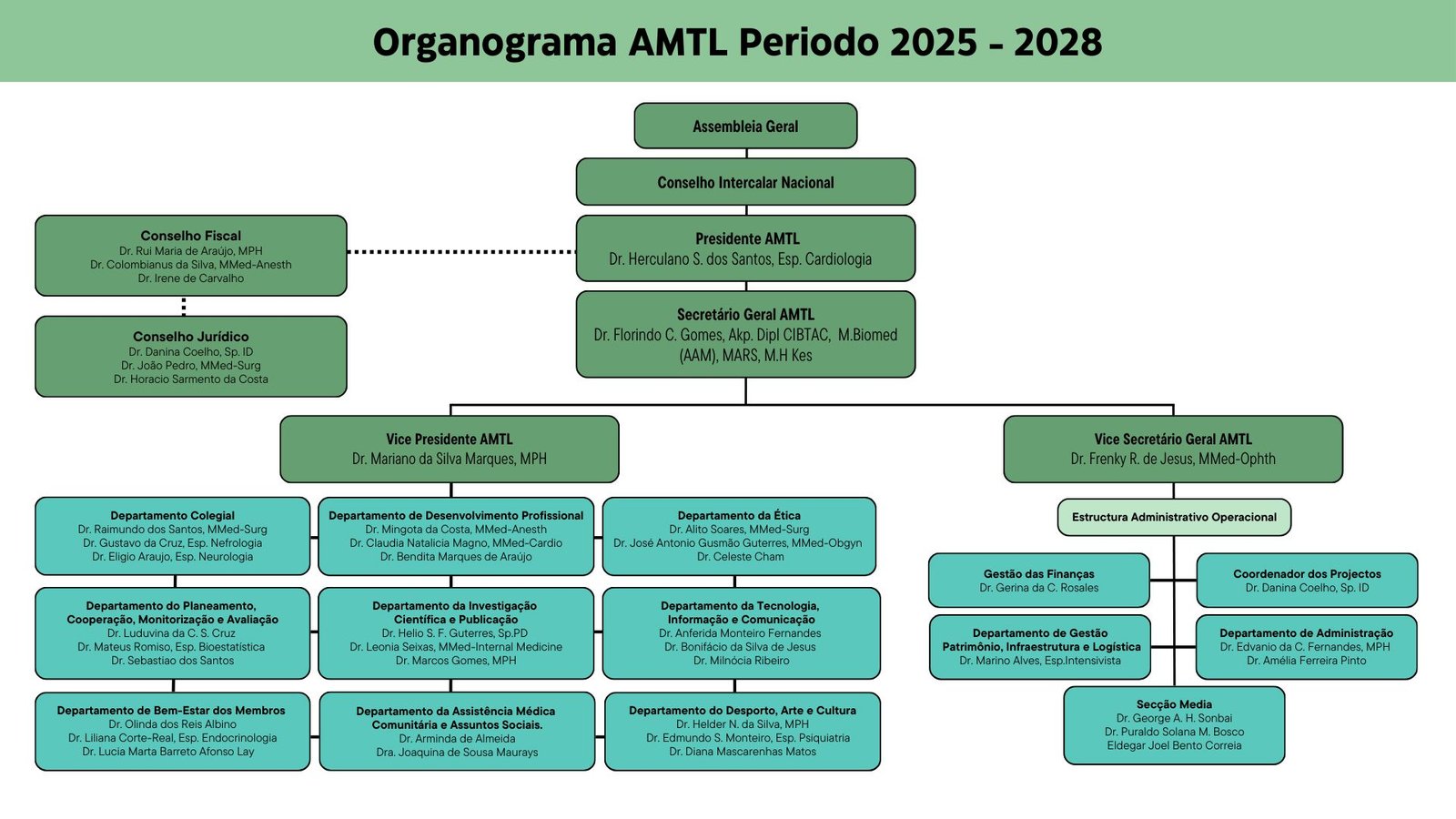 AMTL Organogram